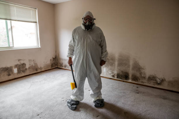 Best Certified Mold Removal  in Enfield, NC